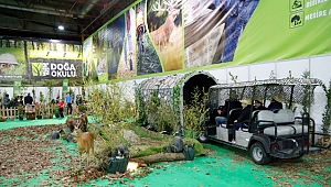 Çocuklar safari deneyimi yaşadı