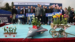 En güzel laleler seçildi