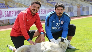 Futbolcuların Duman sevgisi