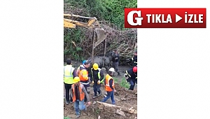 Gebze İtfaiyesi'nden inek operasyonu