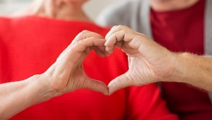 Hollanda hükümetinden 'aşk testi'