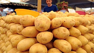 Milli patates çeşitlerine verilecek isim belli oldu