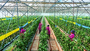 Serada 25 bin istihdam