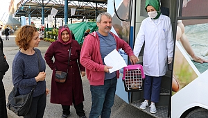 5 ayda 256 hayvana müdahale