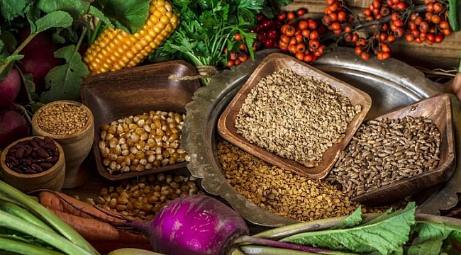 Atalık tohum ürünleri marketlerde satılacak