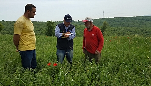 Büyükşehir çiftçilerin yanında