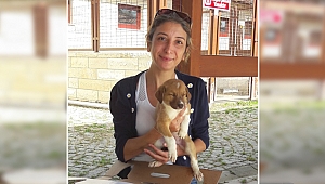 Büyükşehir’den hayvan koruma eğitimi