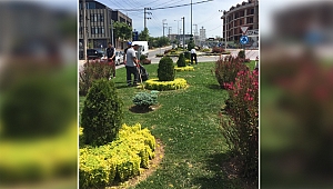 Çevre ve peyzaj çalışmalarına devam