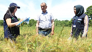 Çiftçilerin yüzü tohum desteğiyle gülüyor