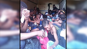 Dilovası'nda insan kaçakçılığına darbe