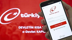 e-Devlet'ten 84,6 milyon tasarruf