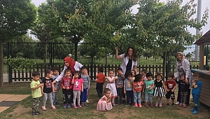 Farabi'de doğa bilinci aşılanıyor