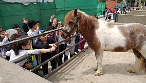 Faruk Yalçın'ın minik misafirleri