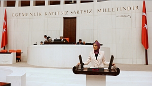 Katırcıoğlu, "Televizyonlar şiddete özendiriyor"