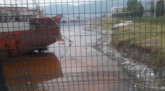 Kirliliğin sebebi Alg patlaması