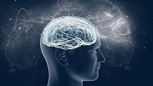 MS hakkında merak edilen her şey!