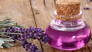 Stresi önleyen kokular