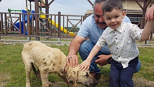 Ziftcan yeni yuvasına kavuştu