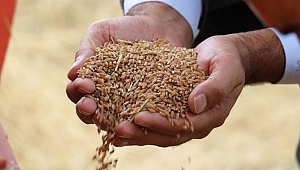 10 yılda 10 milyar dolarlık katma değer