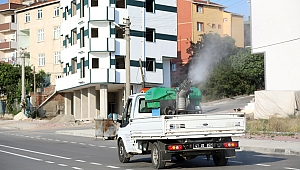 9 mahallede ilaçlama çalışmaları sürüyor