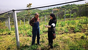 Büyükşehir'den çiftçiye destek sürüyor