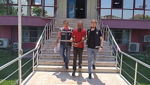 Darıca'daki cami faresi yakalandı