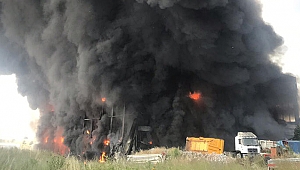 Facianın bilançosu ağır oldu; 5 ölü