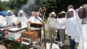 KO-MEK'te 'Bal' gibi branş