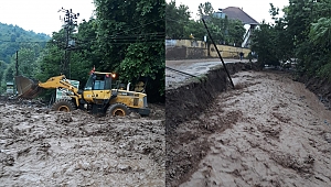 SEDAŞ’tan koordinasyonlu önlem