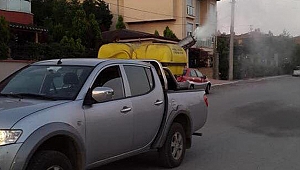 Sivrisinekle mücadele sürüyor