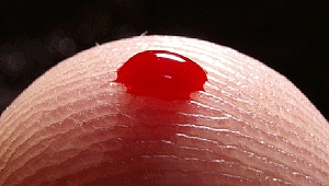 Sivrisinekler en çok hangi kan grubuna gidiyor?