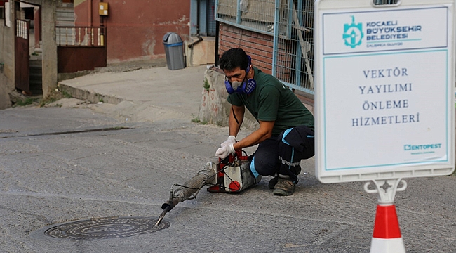 Vektörler için ilaçlama yapılıyor