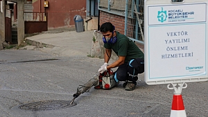Vektörler için ilaçlama yapılıyor