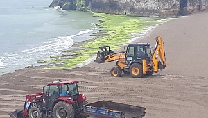 1 haftada 10 kamyon yosun toplandı