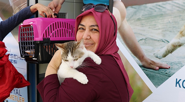 11 bin 150 dostumuz sağlığına kavuştu