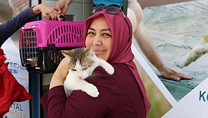 11 bin 150 dostumuz sağlığına kavuştu