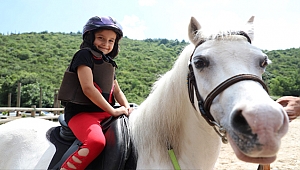 Bu merkez hayvan sevgisini aşılıyor