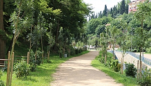 Cımbızdere Vadisi ziyaretçilerini bekliyor