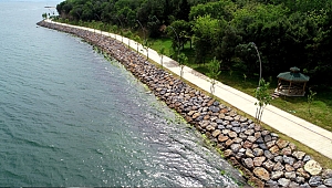 Darıca'yı cazibe merkezi yapacak