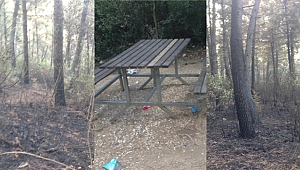 Gaziler Dağı’nın hali içler acısı!