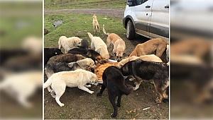 Gebze Belediyesi dostlarımızın yanında
