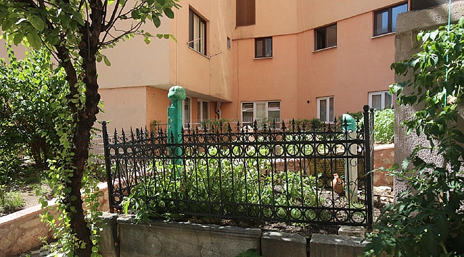 İki asırlık kabre sahip çıkıldı