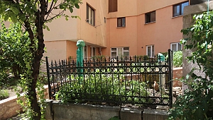 İki asırlık kabre sahip çıkıldı