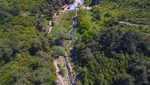 Kişi başına 12,14 metrekare yeşil alan