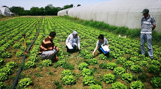 Kocaeli'ndeki çiftçiler çok şanslı