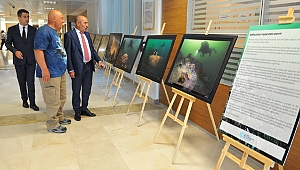 Körfezin sualtı yaşamı Ankara'da sergilendi