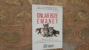 Minik dostlarımız güvenli ellerde