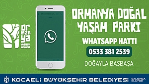 Ormanya için whatsApp hattı oluşturuldu