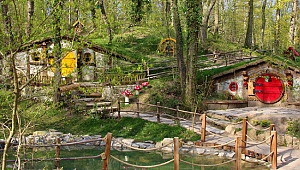 Ormanya, sinema filmine ev sahipliği yapacak