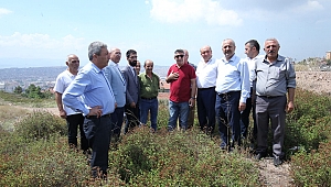 Zinnur Büyükgöz, Hürriyet Mahallesi'ne gitti